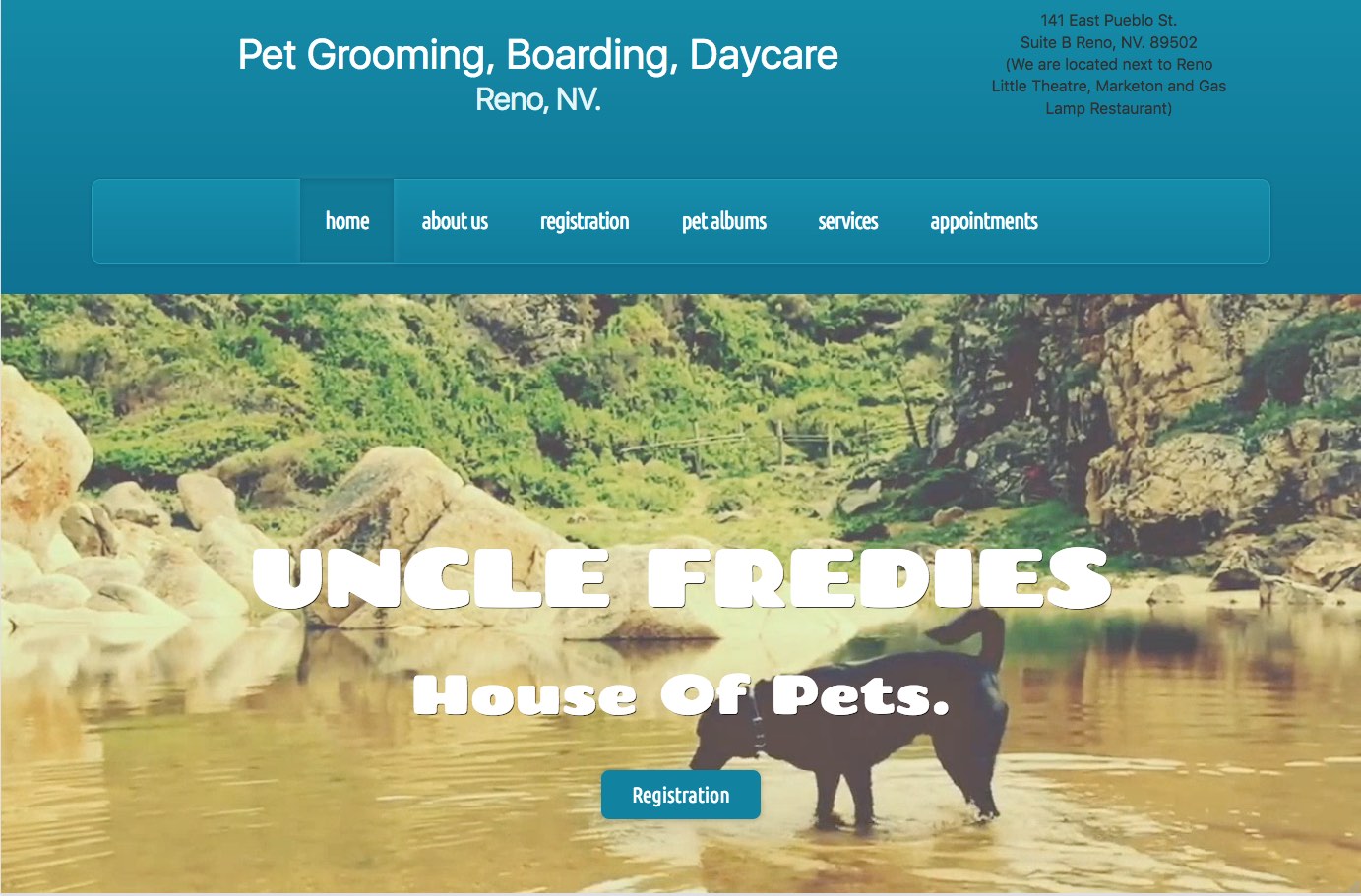 Pet Grooming website design