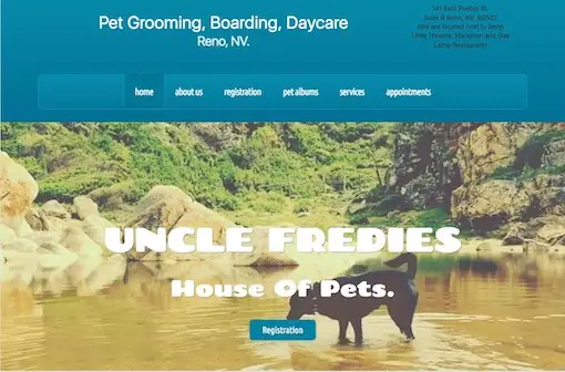 Pet Grooming website design, Pet boarding site creation